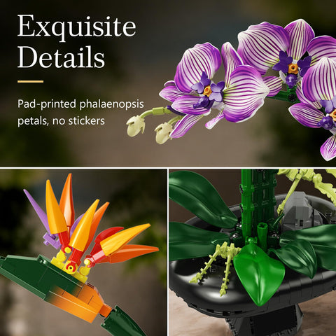 Orchidea Elegante con Vaso – Decorazione Floreale da Costruire